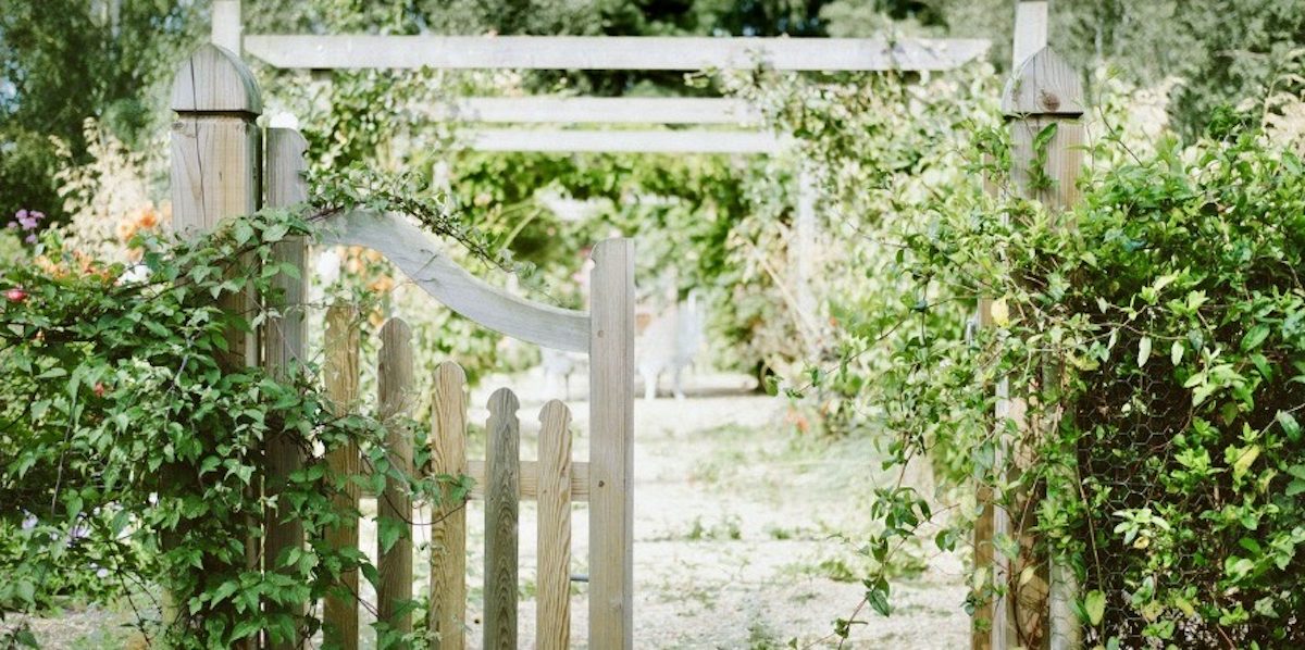 Trädgårdsskötsel Järna — grind med klätterväxter i privatträdgård